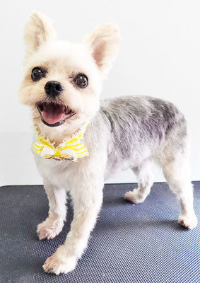 岡元ベリーちゃん