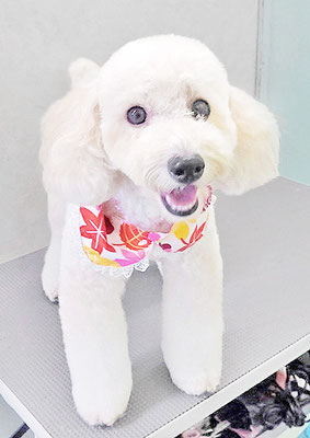 長谷ラナちゃん