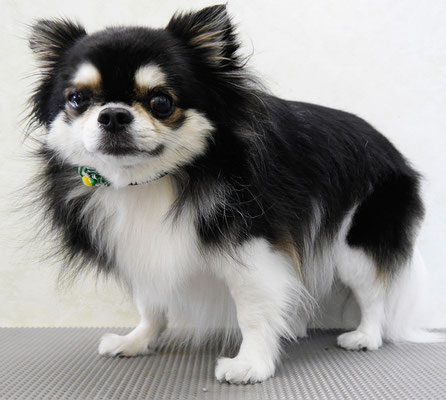 濱本シュウちゃん