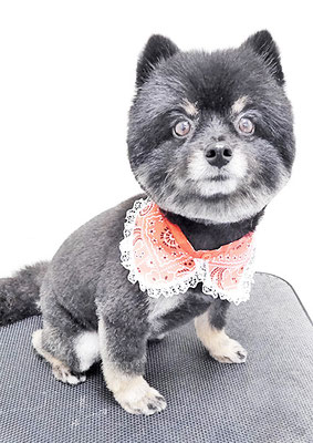 福山ポパイちゃん