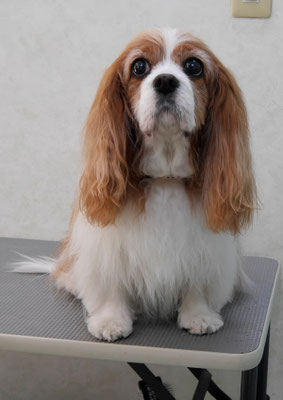 福留ジルちゃん