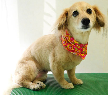 江口エルちゃん