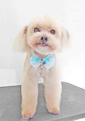 野口ティガちゃん