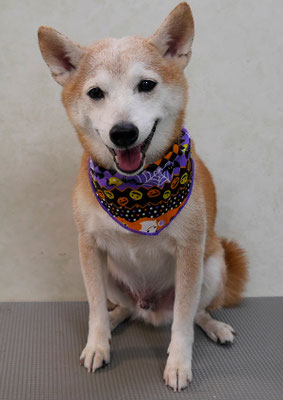 有馬コタロウちゃん