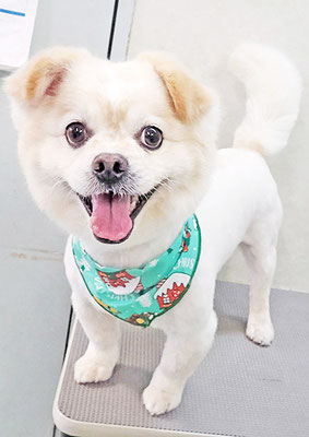 中園モカちゃん