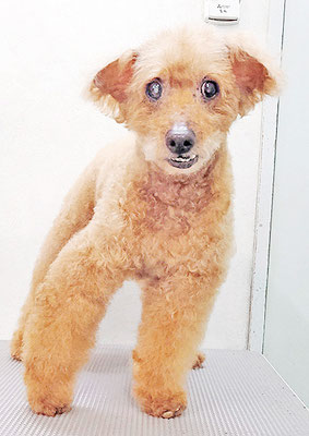 前田ソルファちゃん