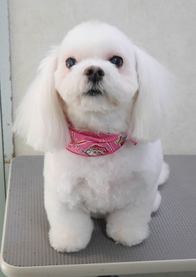 田代ジャスミンちゃん