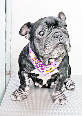 岸下すももちゃん