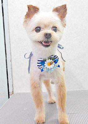 竹田モコちゃん