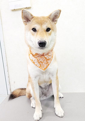 玖須ルビーちゃん