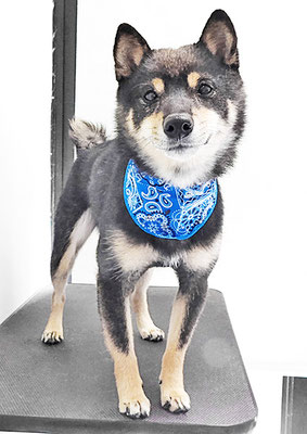 中野めらんちゃん