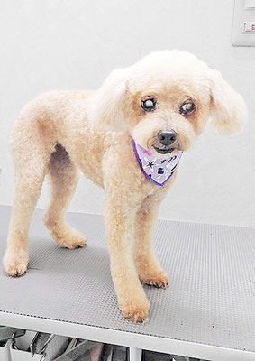 梅橋まるちゃん