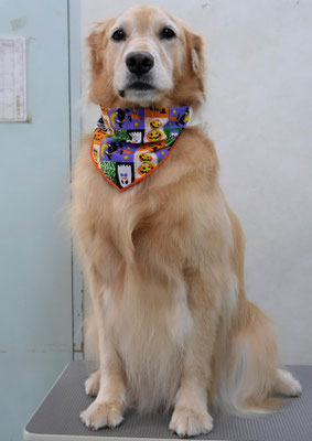 菊川チェリーちゃん