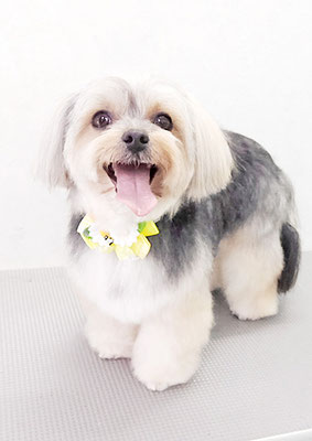 有馬まりんちゃん