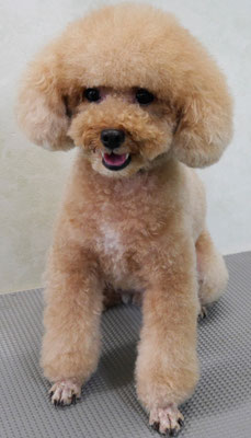 肥田クウちゃん