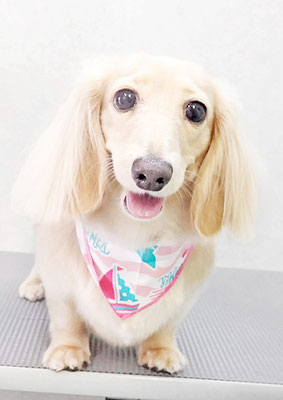 松村エルちゃん