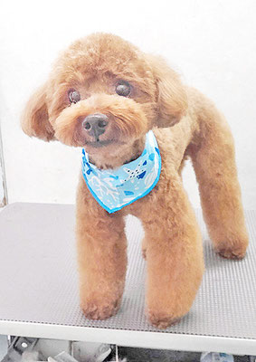 吉村弦之介ちゃん