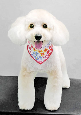 長谷ラナちゃん