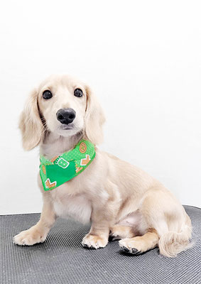 河野元気ちゃん