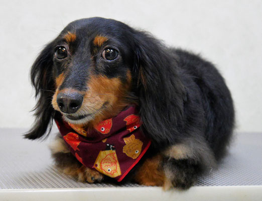 山下マルチョンちゃん