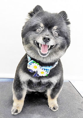 福山ポパイちゃん