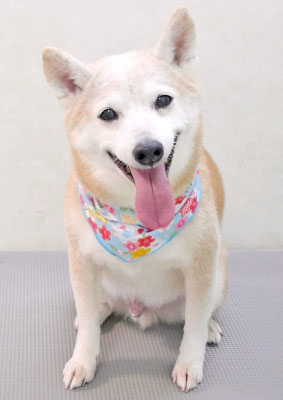 有馬コタロウちゃん