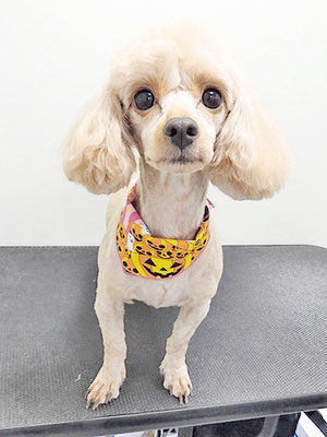 中村てぃーちゃん