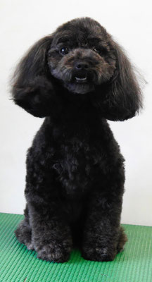 森崎ラブちゃん