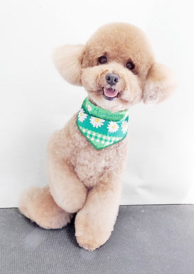 佐多ぶいちゃん