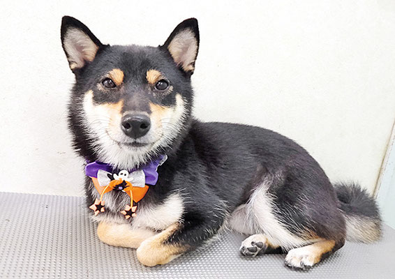 西元風子ちゃん