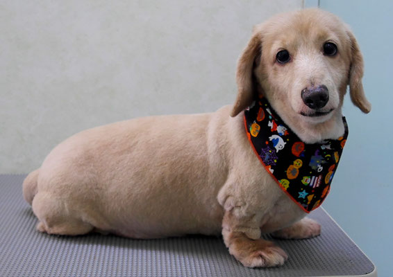 馬場リクちゃん