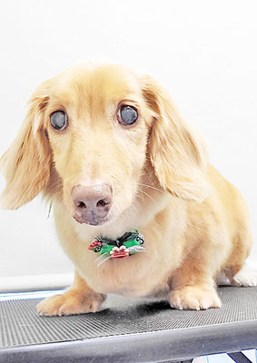 前薗パルちゃん