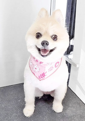 西堂ココちゃん