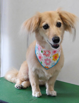 江口エルちゃん