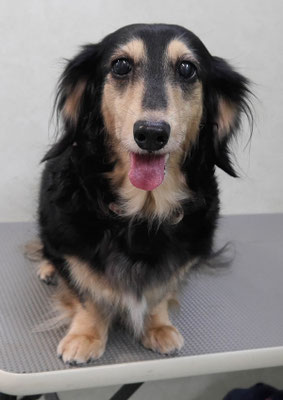 湯田モモちゃん