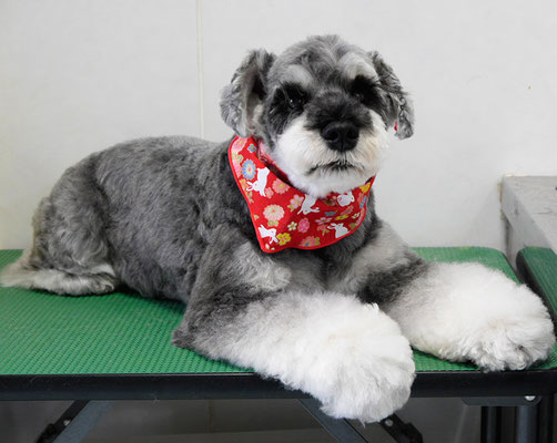 徳地ティアちゃん