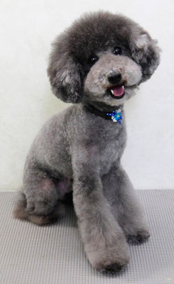 板敷コナンちゃん