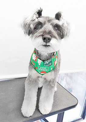 糸山そらちゃん