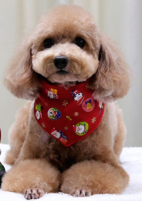 小野ハナちゃん