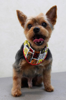 松川ティンキーちゃん