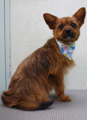 助村るうちゃん