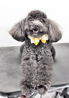 石田おはぎちゃん