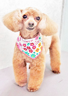 森崎ネネちゃん