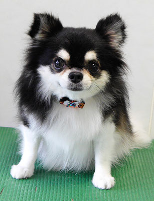 濱本シュウちゃん