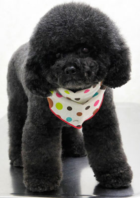 奥平アクアちゃん