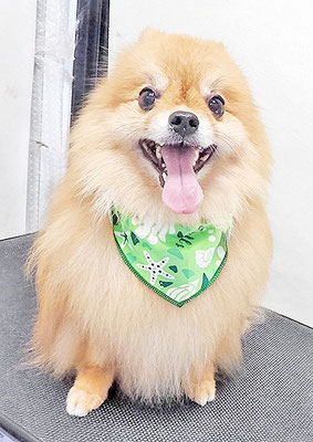 大井ポンタちゃん