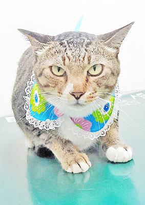 濱田ノンタンちゃん