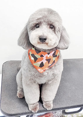 橋口最中ちゃん