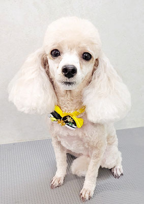 新留モコちゃん