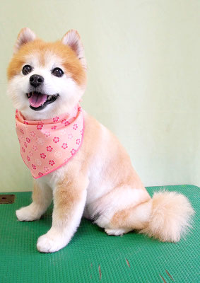 別府ろなちゃん